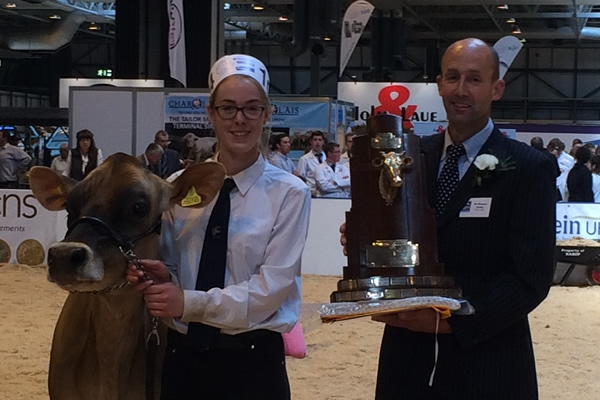 jersey champion 2016